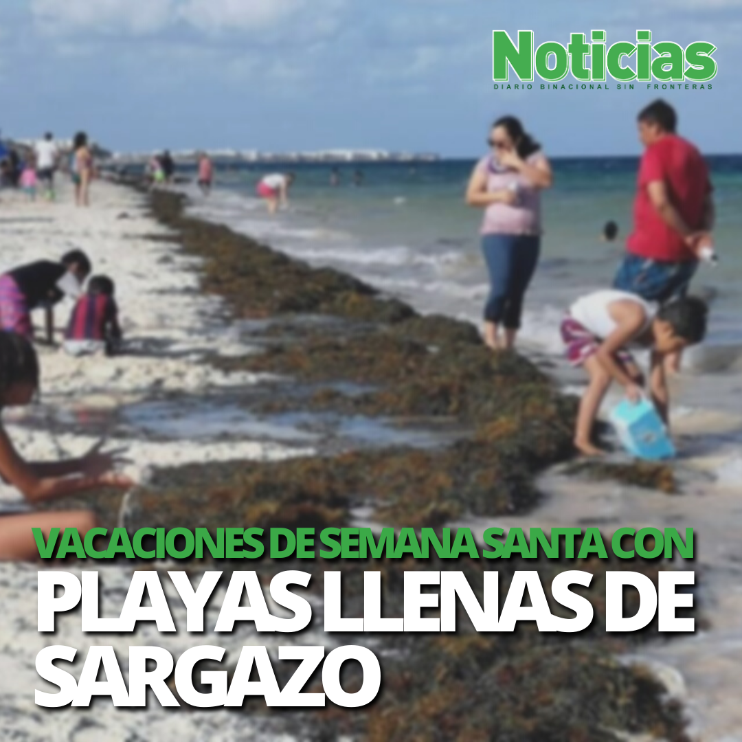 Vacaciones De Semana Santa Estas Son Las Playas Libres De Sargazo En My Xxx Hot Girl